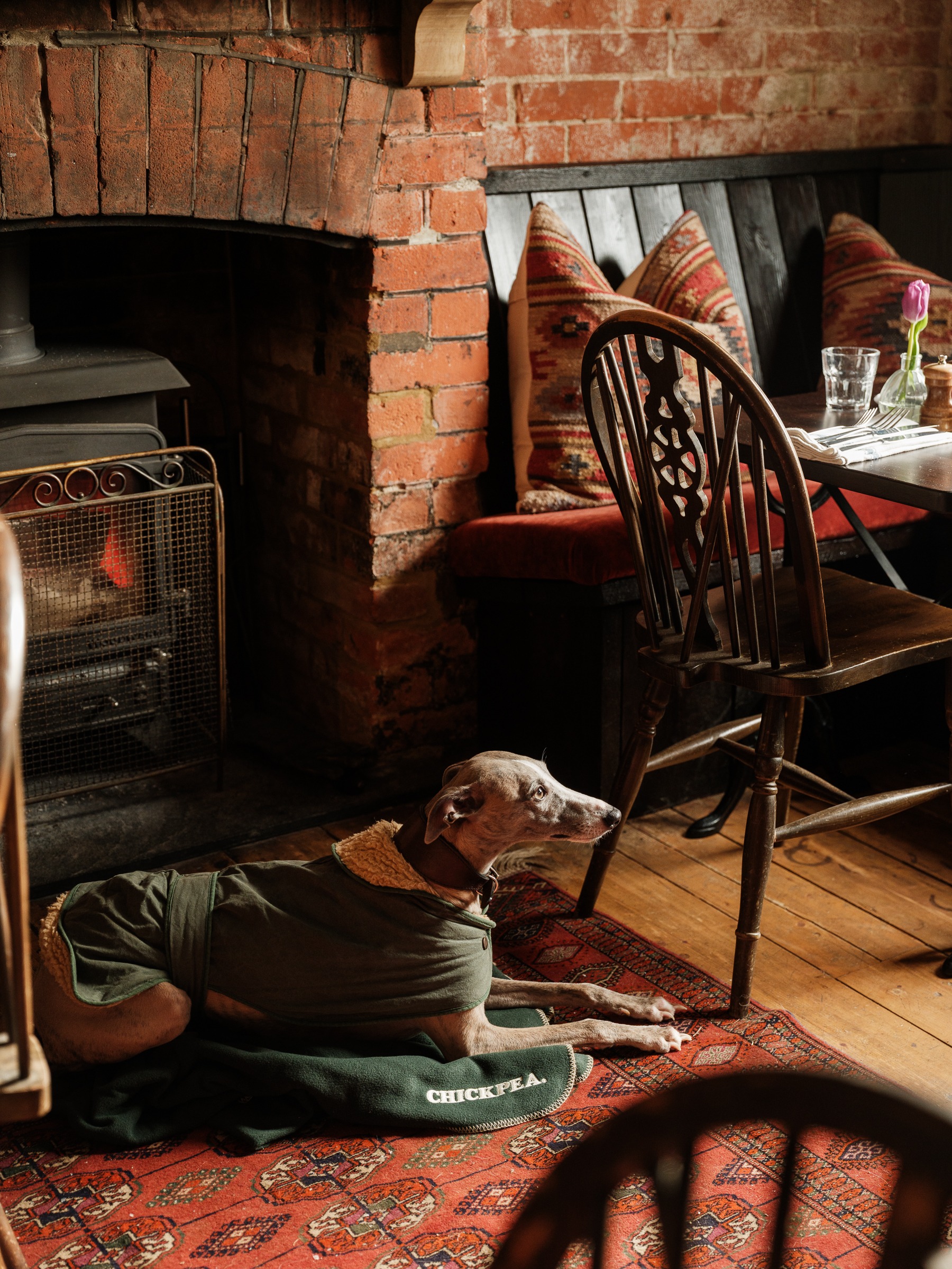Dog-friendly stays at The Dog & Gun in Netheravon, Wiltshire